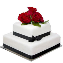 Delicious 2 Tier Wedding Cake