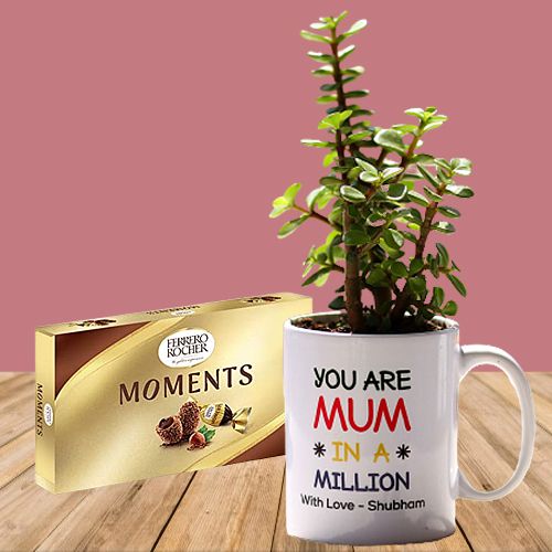 Impressive Jade Plant in Personalized Mug with Ferrero Moment Chocolates Box