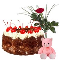 Enticing Black Forest Cake Teddy and Red Rose