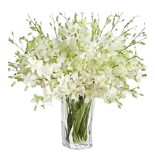 Soothing White Orchids Vase Arrangement