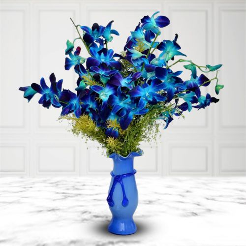 Impressive Blue Orchids Elegance