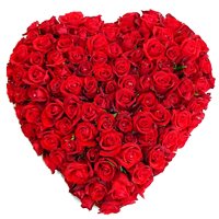 Magnificent Heart Shaped 150 Dutch Red Roses Arrangement of Love