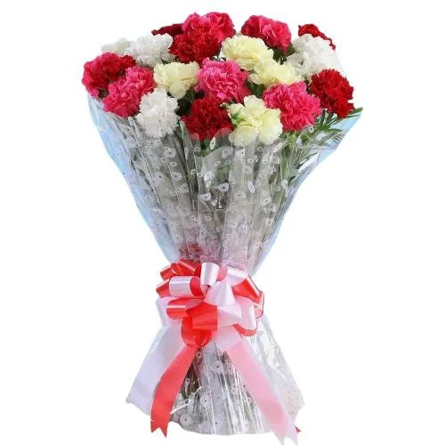 10 Mixed Carnations Tissue Wrapped Bouquet