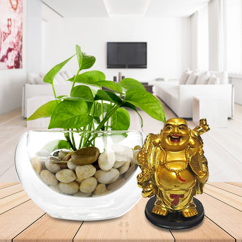 Wonderful Gift of Money Plant in Glass Vase with Laughing Buddha