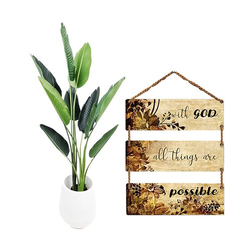 Evergreen Travellar Palm Plant with Wall N Room Decor Hanging
