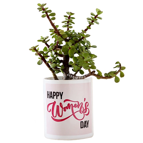 Beautiful Jade Plant in Personalize Coffee Mug Gift