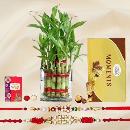 Healthy Treat of 2 Tier Bamboo Plant with Duel Rakhi