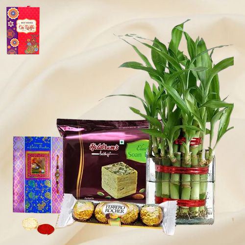 Eco Friendly Rakhi Assortment Gifts