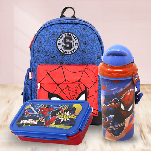 Stunning Marvel Avenger Spiderman Back to School Mini Combo