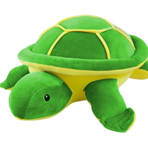 Cute Little Turtle Soft Toy for Kids