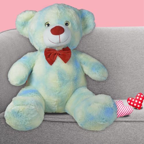 Colorful Teddy Gift for Her